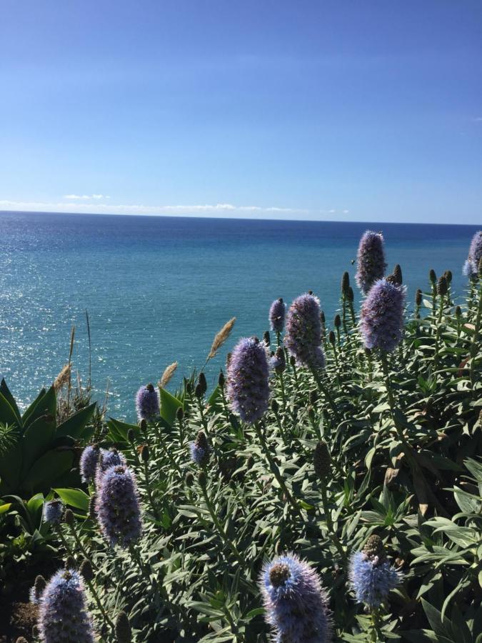 Calheta Ocean View Family Apartment - Air Condition Estreito Da Calheta Exterior photo